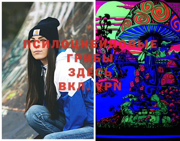 гашик Белоозёрский