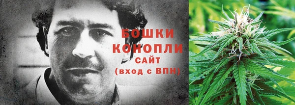 гашик Белоозёрский